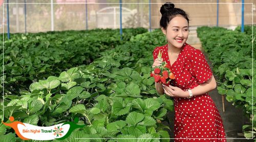 Du lịch Đà Lạt